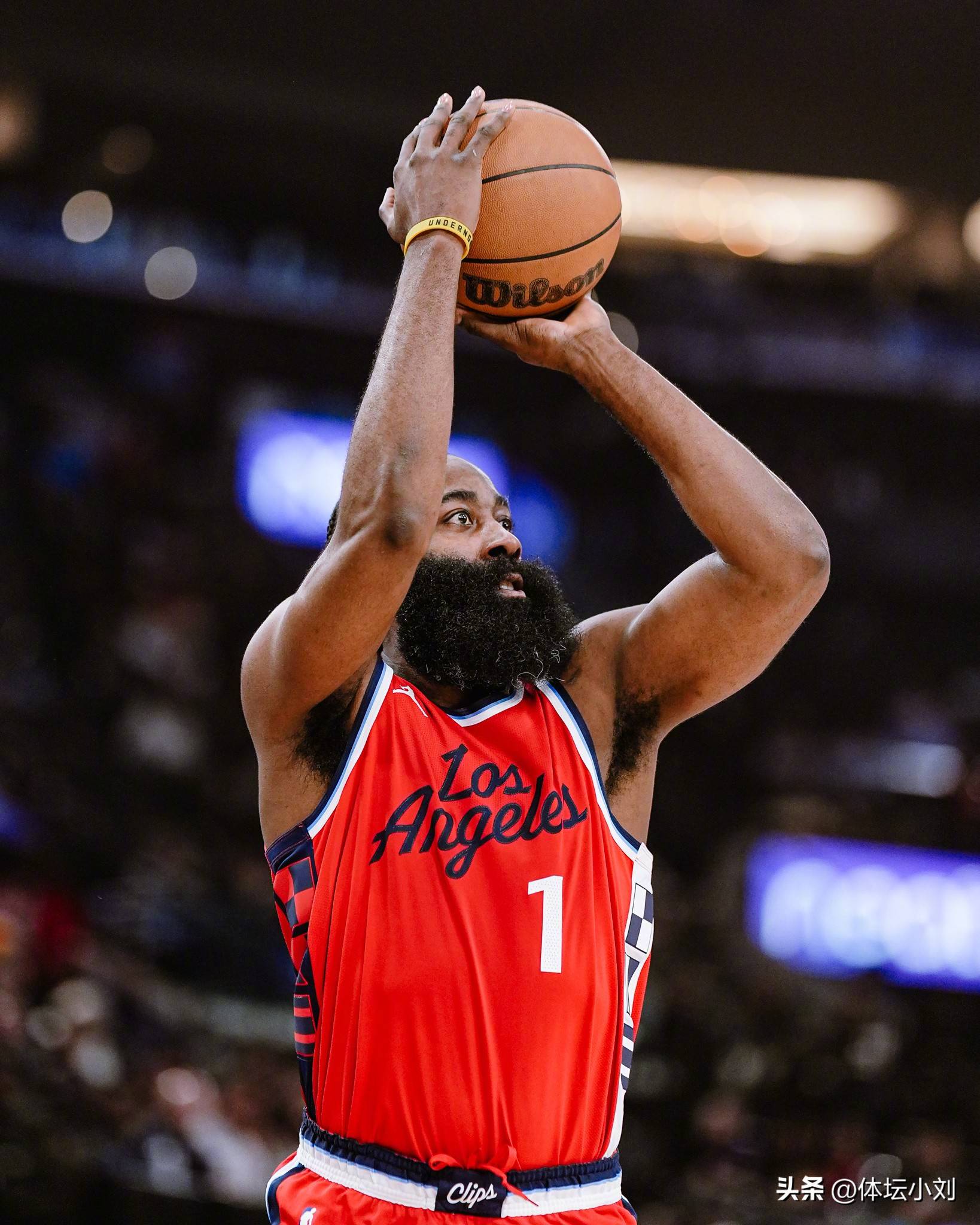 日本火腿若 日本火腿若